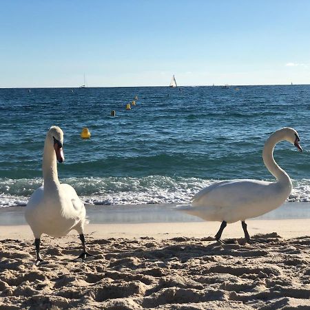 Touchlux Apartments Cannes Bagian luar foto